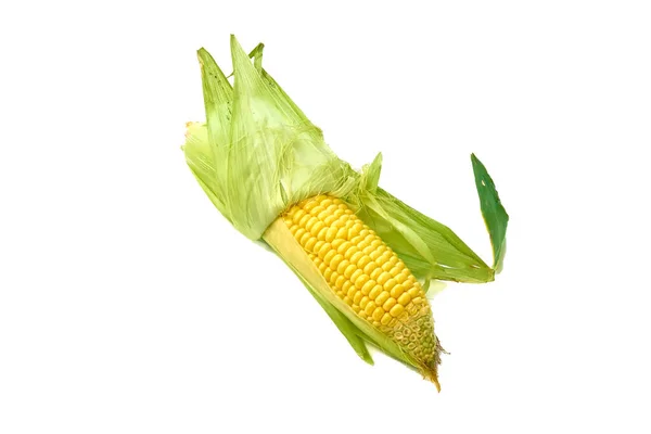 Young appetizing corn on the cob and peeled on a white background. — Stock Photo, Image