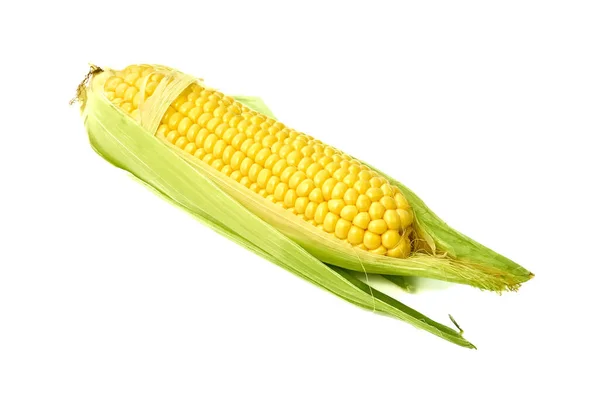 Young appetizing corn on the cob and peeled on a white background. — Stock Photo, Image