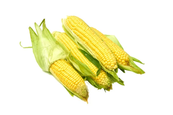 Fiatal étvágygerjesztő kukorica a cob és hámozott fehér alapon. — Stock Fotó