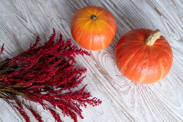 白い木製のテーブルの上に2つの小さなオレンジ色のカボチャと赤いドライフラワーのトップビュー。秋の壁紙。素朴な収穫の概念 — ストック写真
