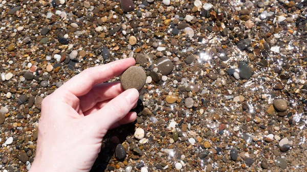 Çakıl taşlarının arka planında ıslak bir sahil taşı var. Taş meditasyonu. Boşluğu kopyala — Stok fotoğraf