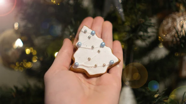 Noel ağacında asılı ev yapımı zencefilli kurabiye. Tatil, Noel, xmas, hygge konsepti. Seçici odak.