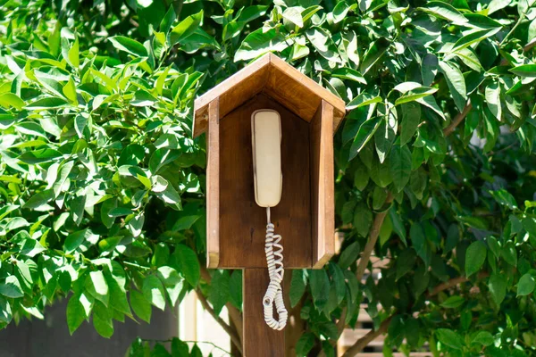 Terk edilmiş ahşap telefon kulübesi bahçede. Her yerde iletişim var. Temasta olun.
