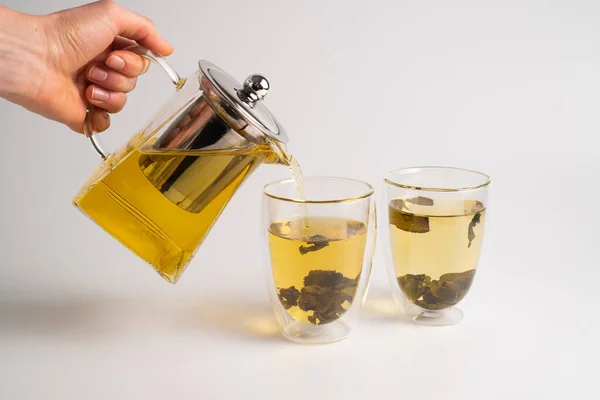 Pouring green tea from a glass teapot in double walled glasses. Oolong loose leaf tea in double glass cups.