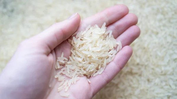 Thai jasmine rice on hand. The top view of white basmati rice in the hand. Hand holding rice — Stock Photo, Image