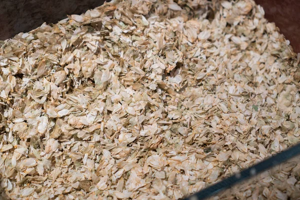 Sfondo dry hop. Luppolo essiccato in container. Foglie di luppolo nella scatola — Foto Stock