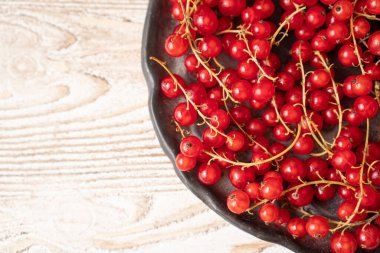 Siyah kasede kırmızı frenk üzümü. Siyah tabakta kırmızı frenk üzümü. Kırmızı ve siyah. Kırmızı küçük meyveler