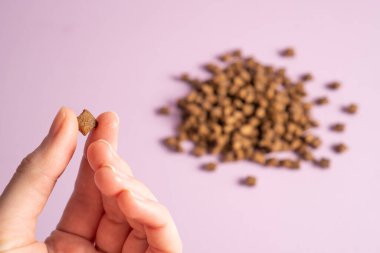 Elinde bir parça kedi maması var. Kedi maması yığını. Kedi maması mor arka planda izole edilmiş. Kare kuru kedi maması.