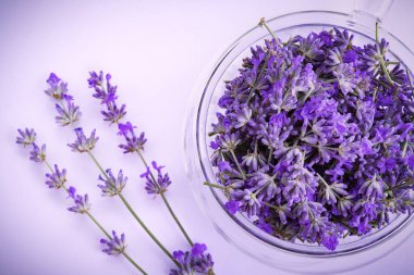 Lavanta çiçekleri kapanıyor. Lavanta