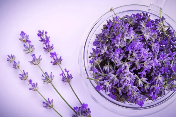 Lavanta çiçekleri kapanıyor. Lavanta