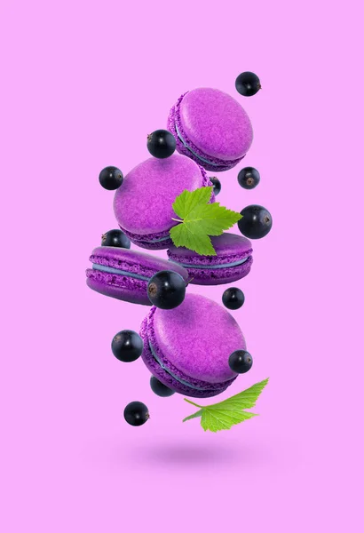 Macaroons French Macaroons Black Currants Cookies Purple Pink Background Colorfulmacaroons — Stock Photo, Image