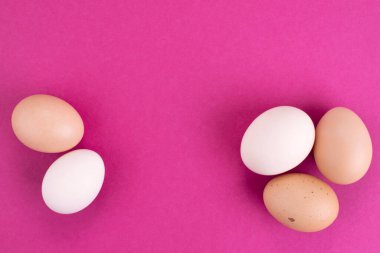 Pembe arka planda tavuk yumurtası. Mesajın için yer aç. Yakın plan.