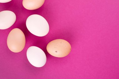 Pembe arka planda tavuk yumurtası. Mesajın için yer aç. Yakın plan.