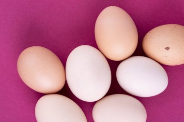 Pembe arka planda tavuk yumurtası. Mesajın için yer aç. Yakın plan.