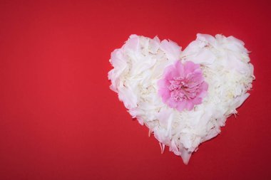 Kalp çiçek yapraklarıyla kaplıdır. Çiçeklerden yapılmış bir kalp. Sevgililer Günü. Renk paleti. Moda aşkı.