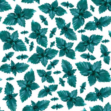 Kusursuz desenler. Taze fesleğen yaprakları, baskı, kağıt, mutfak tasarımı, kumaş, kafe dekorasyonu, ambalaj, arka plan, menüler, reklamcılık için dokular. Basil