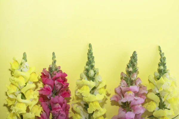Hermosas Flores Ramo Flores Brillantes Sobre Fondo Amarillo Copiar Espacio — Foto de Stock