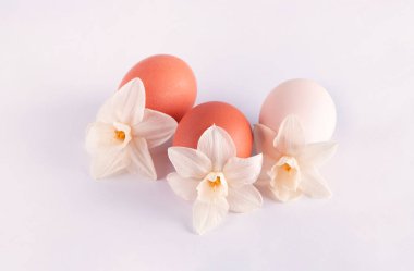 Yumurtalar. Bahar çiçekli yumurtalar.