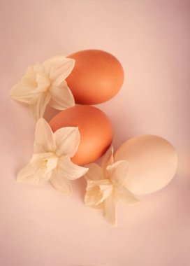 Yumurtalar. Bahar çiçekli yumurtalar.