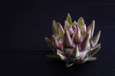 Koyu renk ahşap arka planda çiçek açan enginar. Enginar.