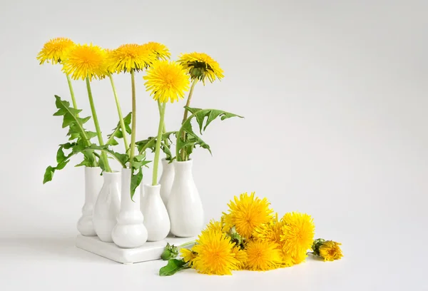 Dandelions, white vase — Stock Photo, Image