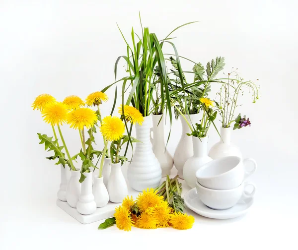 Pampelišky, bílá váza — Stock fotografie