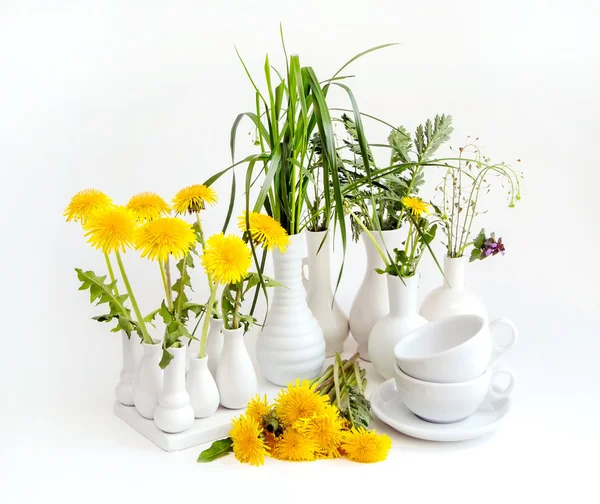 Löwenzahn, weiße Vase — Stockfoto