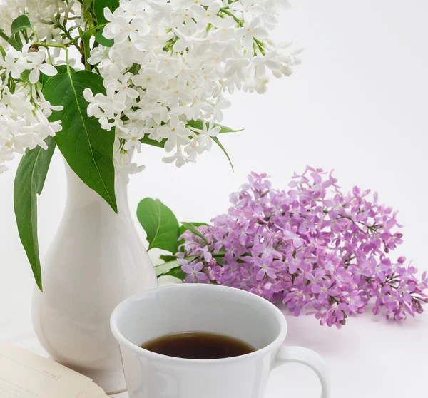 Tazza di caffè, lilla bianca — Foto Stock