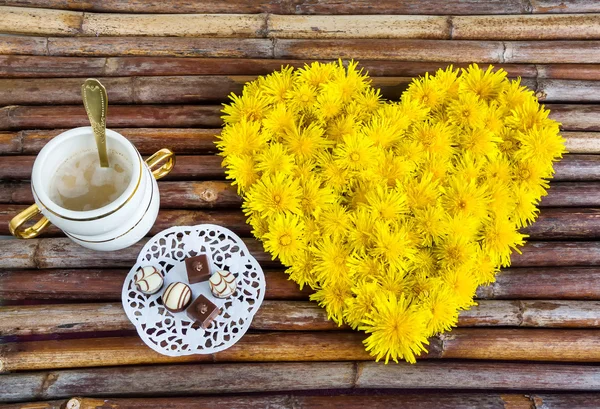 Bloemsamenstelling van paardebloemen — Stockfoto