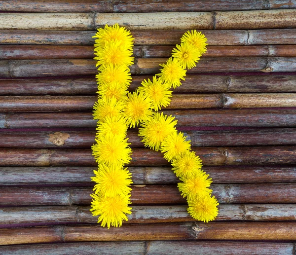 Carta feita de flores — Fotografia de Stock