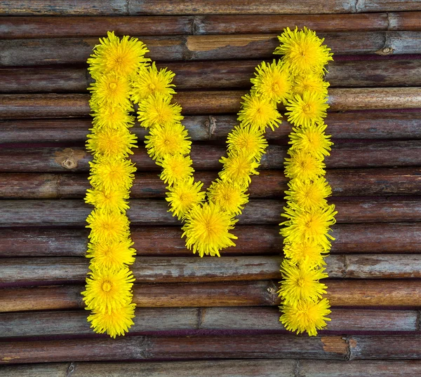 Letter made from flowers — Stock Photo, Image