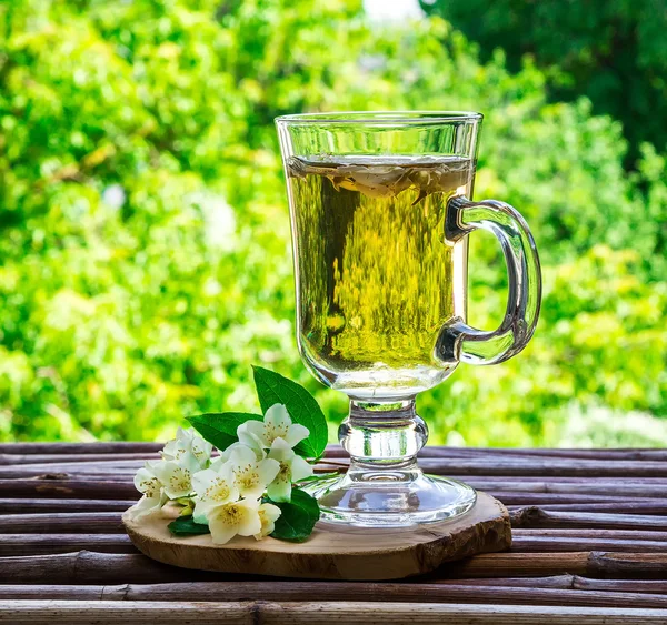 Jasmijn thee, drankje — Stockfoto