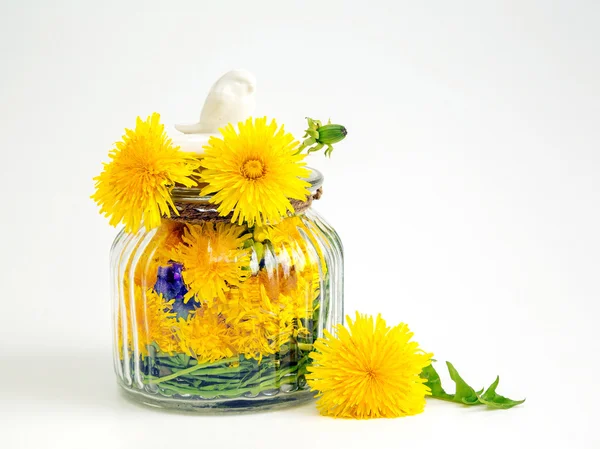 Yellow dandelions, jar — Stock Photo, Image