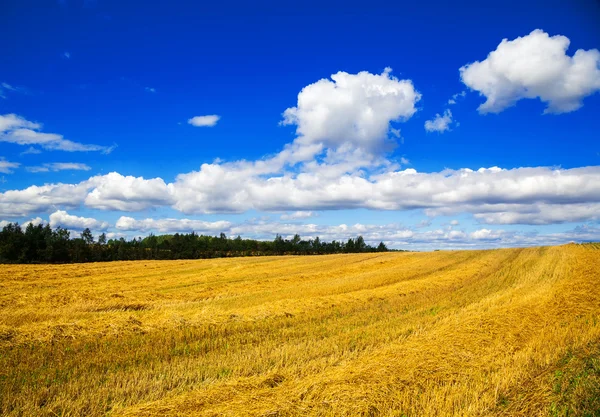 Landschap op de achtergrond van de blauwe hemel — Stockfoto