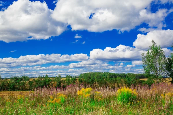 Andscape in the background of blue sky — Stock Photo, Image