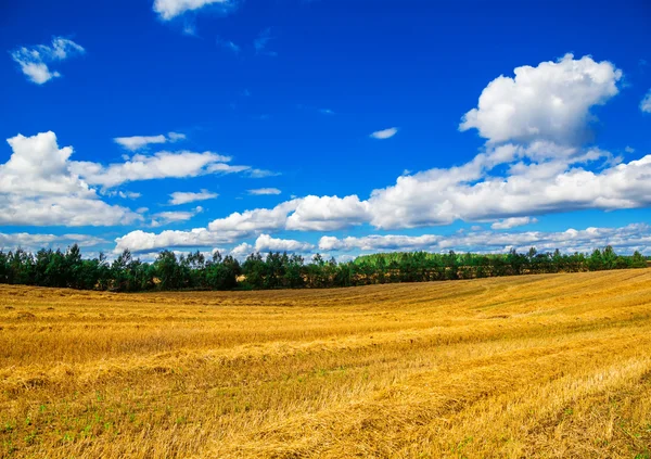 Landschap op de achtergrond van de blauwe hemel — Stockfoto