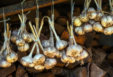 sarımsak ampuller, sebze