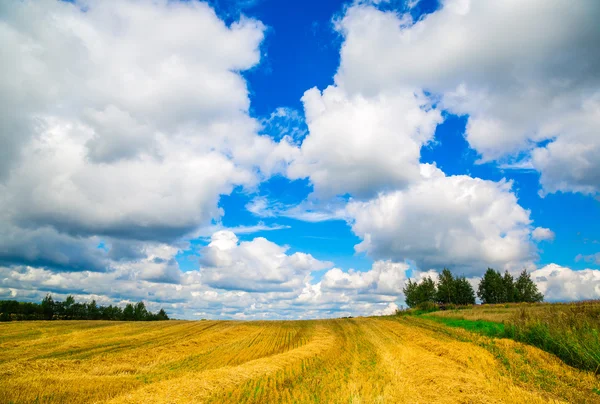 Landschap in de achtergrond van de hemel — Stockfoto