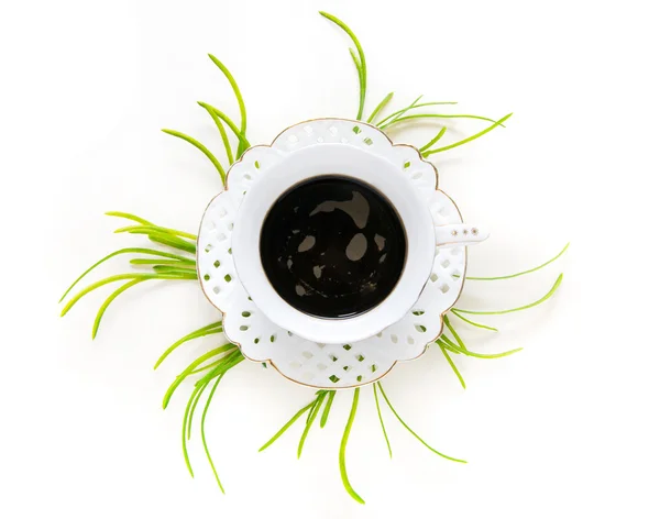 Tasse Kaffee und Pflanzen — Stockfoto