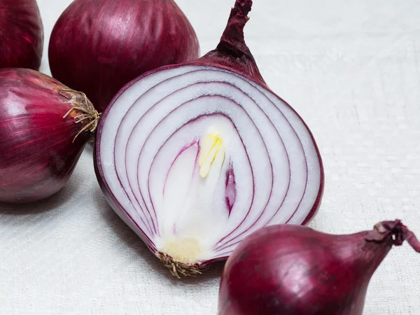 Red onion in a cut — Stock Photo, Image