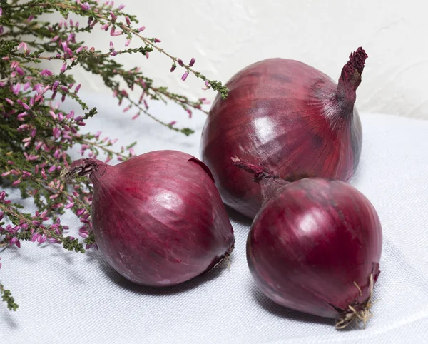 Red onion, heather — Stock Photo, Image