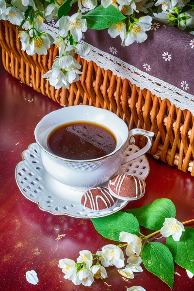 Coffee mug and jasmine flowers — Stockfoto