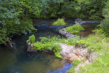 hızlı nehir, orman, taş geçiş