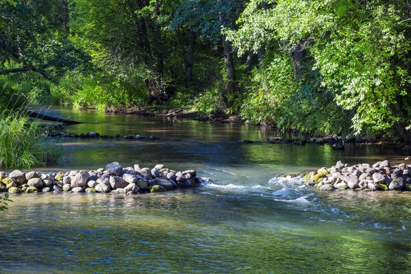 Gyorsan folyó, erdő — Stock Fotó