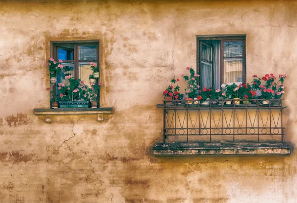 Finestra, balcone, fiori, retrò — Foto Stock