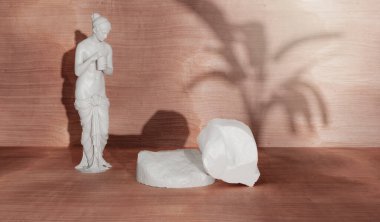 Kahverengi arka planda gölge doğa yaprakları olan taş ürün podyumu. 3B görüntüleme