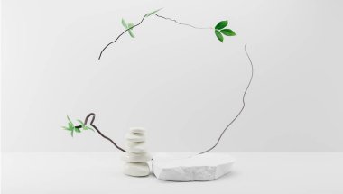 Feng shui japandi tarzı hafif arka planda taş ve bitkilerle ürün sergilenmesi için podyum. 3d oluşturma.