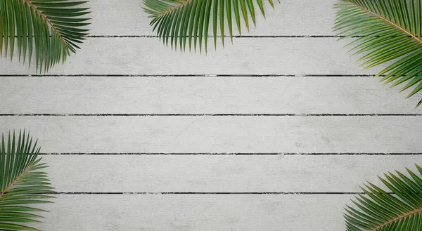 3d rendering of a foreground plant wallpaper with a white painted wooden floor background. Wallpaper for summer promotion.