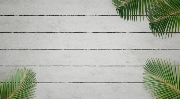 3d rendering of a foreground plant wallpaper with a white painted wooden floor background. Wallpaper for summer promotion.