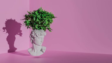David 'in kafasında bitkiler olan pembe arka plandaki heykelinin başı..
